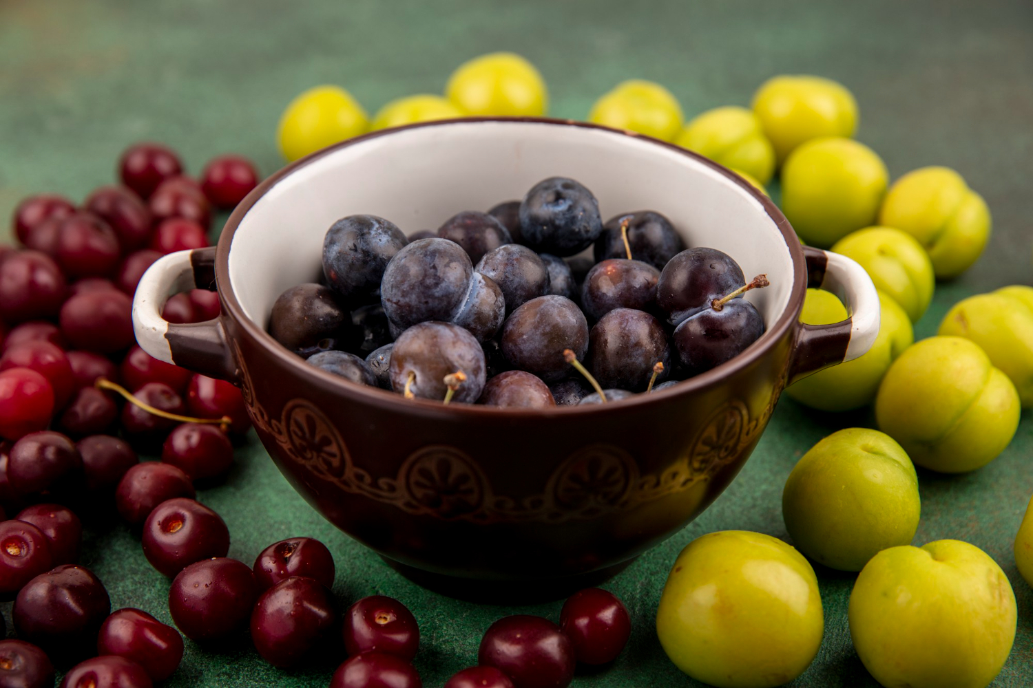 Amla vs Blueberry: Which Berry Wins for Immunity?